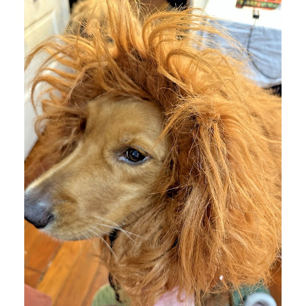 Dog Lion Mane Wig Halloween Pet Costume Funny Headwear for Medium Large Dogs